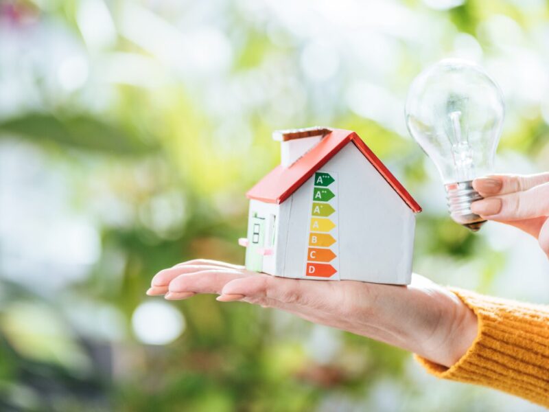 cropped view of led lamp and carton house model in woman hands, energy efficiency at home concept