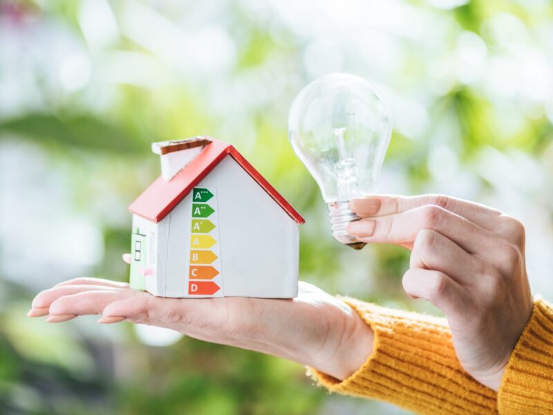 cropped view of woman holding led lamp and carton house, energy efficiency at home concept